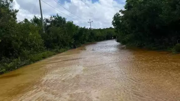 Habitantes piden intervención en Xcalak tras Sara.