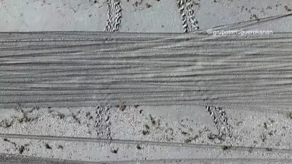 Activistas denuncian ingreso de vehículos a playas protegidas en Isla del Carmen.