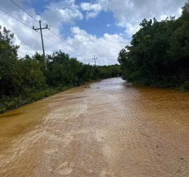 Habitantes piden intervención en Xcalak tras Sara.