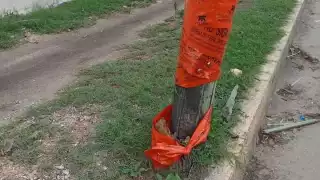 Poste de telefonía cae sobre cables de luz en Chetumal