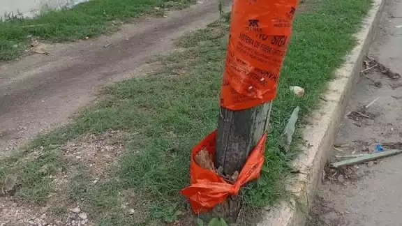 Poste cae sobre cables de luz en Chetumal, el incidente no ha sido arreglado por ninguna autoridad o compañía. Poste cae sobre cables de luz en Chetumal, el incidente no ha sido arreglado por ninguna autoridad o compañía.