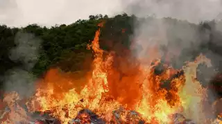 12 incendios en 10 días en carreteras de Campeche: Piden no tirar colillas ni basura