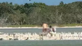 Turistas desatan polémica por realizar una sesión de fotos   erótica en Río Lagartos