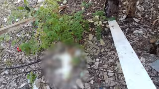 Los casos generaron indignación entre vecinos