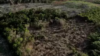 La Profepa ha instruido la intensificación de los operativos, así como el cierre de terrenos