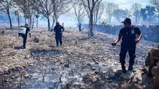 Elementos de Protección Civil, la Policía Municipal y bomberos combaten siniestro en un terreno