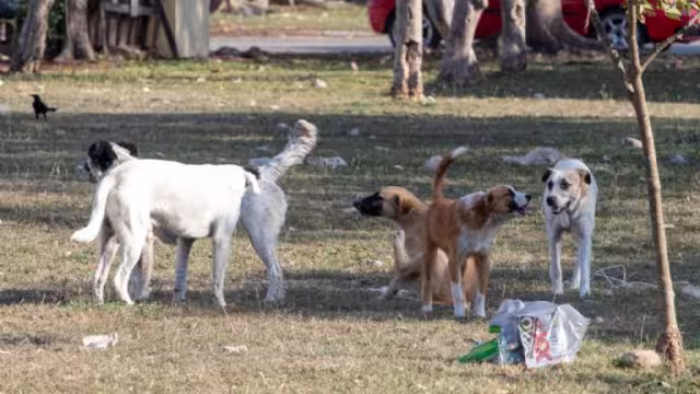El joven tuvo que ser rescatado por policías de la CDMX