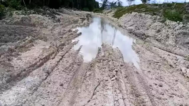 Comunidades rurales de Othón P. Blanco denuncian abandono en infraestructura y servicios públicos.