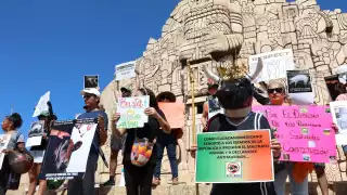 En Yucatán, 10 municipios están en focos rojos por crueldad animal; suman cerca de 628 casos