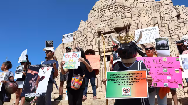 Colectivos por la fauna revelan que en enero pasado se abrieron 628 carpetas de investigación