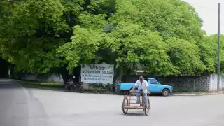 Semarnat niega permiso a Grupo Xcaret para deforestar la selva de Yucatán por la construcción de un megaparque
