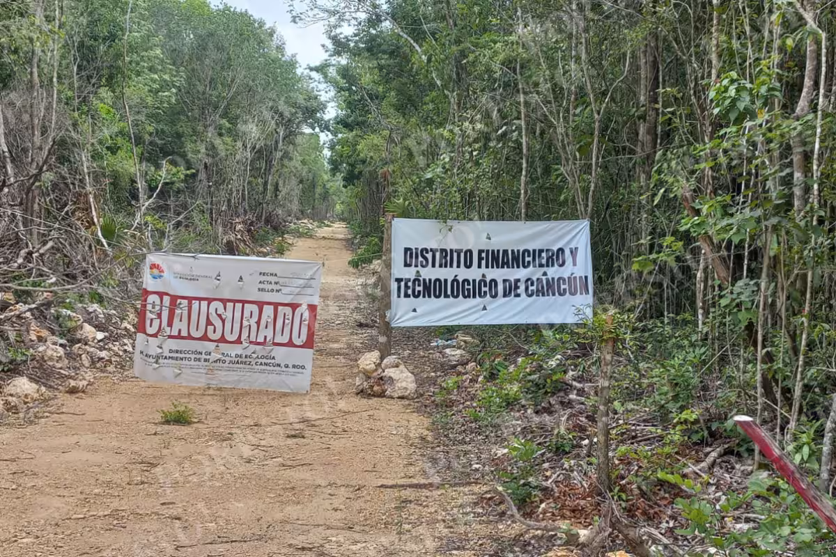 'Esa selva hay que cuidarla': Sheinbaum plantea cambiar la ubicación del Distrito Financiero de Cancún