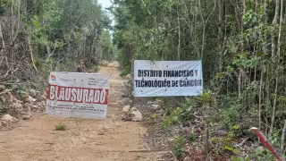 El Ayuntamiento de Benito Juárez, a través de la Dirección de Ecología, colocó sellos de clausura en la zona donde se realizaba el desmonte para habilitar las vialidades del desarrollo