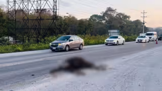 Un motociclista quien no se habría percatado de los cuerpo chocó contra ellos