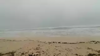 Así lucen las playas de Cancún tras el paso de Beryl: VIDEO