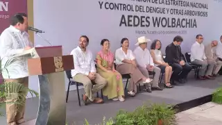 Solo en el 2024, se registraron más de medio millón de casos en todo el país