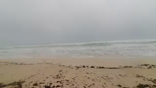 Las playas de Cancún no registraron afectaciones