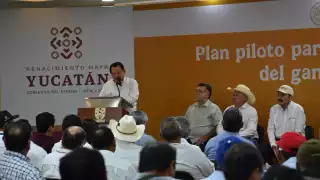 En Yucatán, implementarán plan piloto de México para la supresión del gusano barrenador del ganado