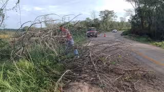 Las lluvias provocaron fuertes corrientes de agua y caída de árboles en carreteras.