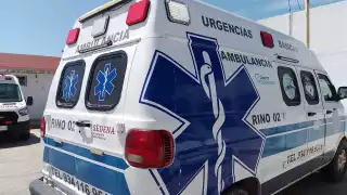 Trabajadores de la Ribera del Río Hondo sufren picaduras de abejas africanas