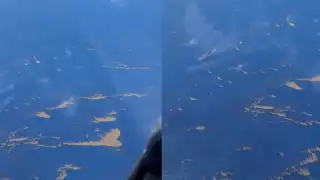 Sargazo en el Caribe mexicano:  Graban la llegada de la macroalga a playas de Quintana Roo desde las alturas (VIDEO)  