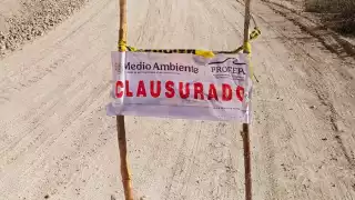 Clausuran banco de extracción en Campeche por daños a la selva