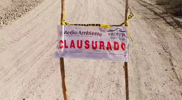 Sin autorización federal, suspenden actividades en 8.6 hectáreas de selva campechana