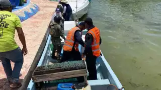 Se encontraron especies cuya captura es ilegal en la embarcación