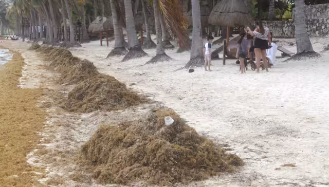 Fenómeno ambiental inevitable: familias disfrutan pese al recale