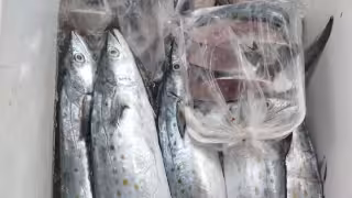 La producción pesquera ha ido de acuerdo con las cifras esperadas debido a que en enero y febrero el producto es accesible, lo cual lleva a su abaratamiento