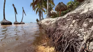 La playa Coral presenta algunos de los tramos con mayor reducción de arena; especialistas advierten que la recolección con maquinaria también quita sedimentos necesarios para mantener el equilibrio natural del litoral