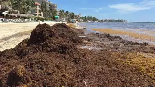 Afectados aseguran que el "golpe" a la economía de tal magnitud no se había registrado antes