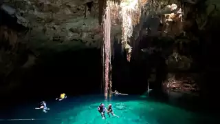Yucatán cuenta con una gran variedad de cenotes para visitar