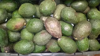 Tomate y limón persa mantienen tendencia a la baja en mercado municipal