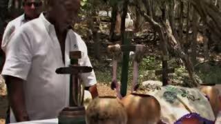 Gobiernos permitieron pérdida de biodiversidad y cultura maya, acusan