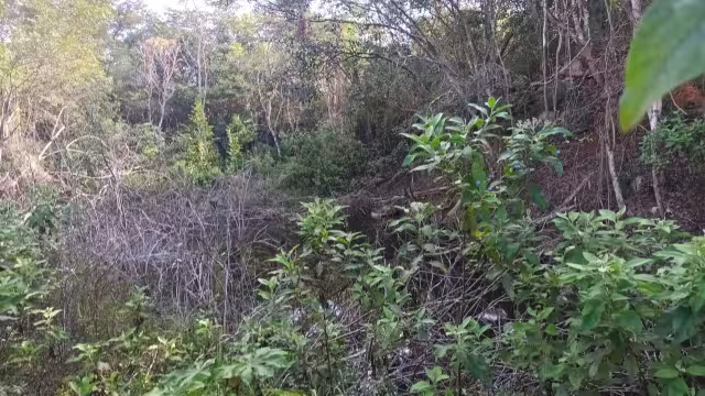 Hombres de campo cuentan que durante ciertas horas del día se pueden ver remolinos