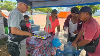 Temporada de pulpo inicia con bajas capturas en Campeche