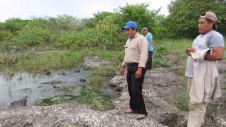 Fumigaciones aéreas contaminan el agua y afectan la salud en comunidades del Oriente de Yucatán
