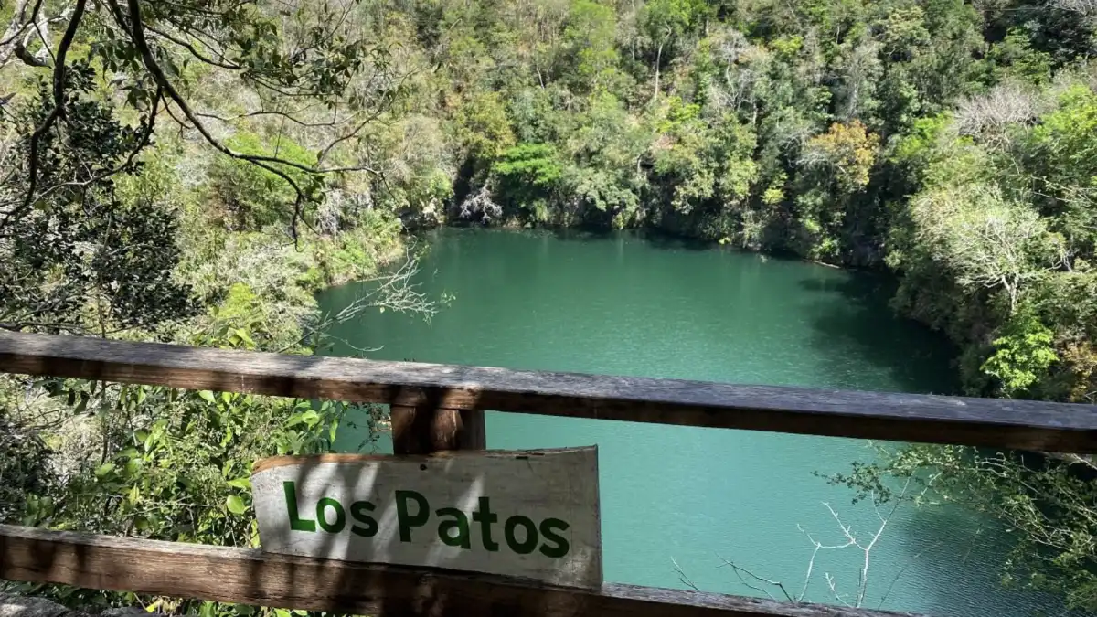 Merida Xrnotes Cenotes de Campeche: conoce los tres atractivos naturales de Miguel ...
