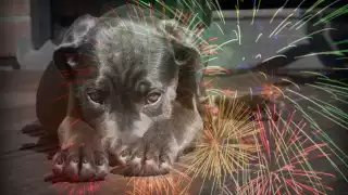 Es importante tomar medidas preventivas