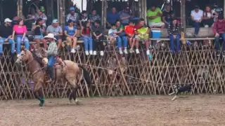 Aclaran supuesto maltrato a un perro en la Feria de Reyes de Tizimín
