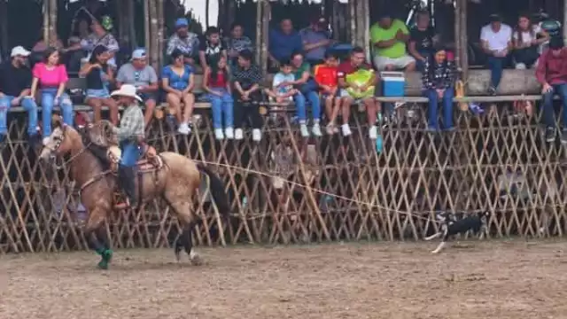 El autor de una foto que causó indignación en redes descartó que un perro haya sido lastimado