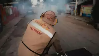 Yucatán activa protocolos sanitarios tras detectar caso de chikungunya