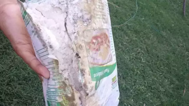 El DIF Municipal entregó a varios ciudadanos despensas echadas a perder