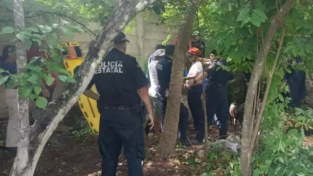 Sexagenario acude a visitar a su hermana en su predio de Izamal, pero la halló en una oquedad