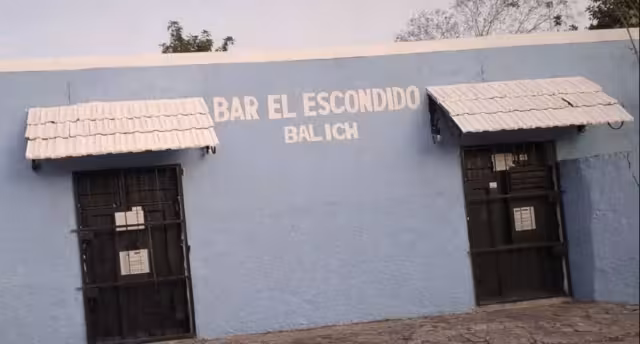 Personal de la Secretaría de Salud de Yucatán cierra el bar que se hizo viral por presunto maltrato animal