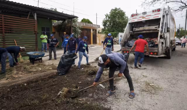 Colonias de Mérida bajo vigilancia sanitaria por proliferación de mosquitos