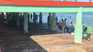 Frente Frío 24 reduce capturas y precios en la ribera campechana