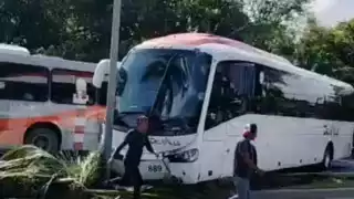   Accidente en la ZH de Cancún: Autobús se descontrola y se estampa con un palmera  