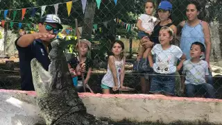 No hay que catalogar a los cocodrilos como monstruos o asesinos, sino como cualquier otro animal.